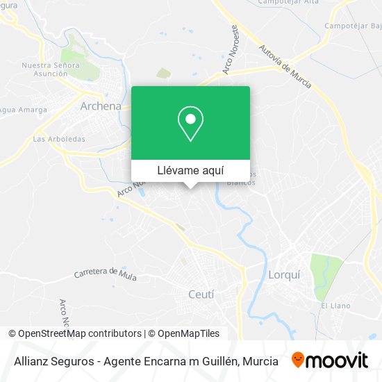 Mapa Allianz Seguros - Agente Encarna m Guillén