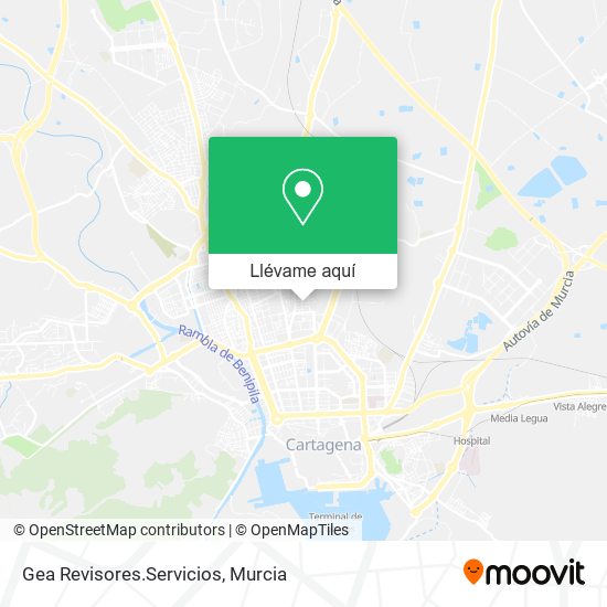 Mapa Gea Revisores.Servicios
