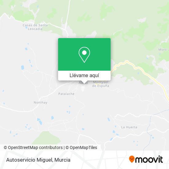 Mapa Autoservicio Miguel
