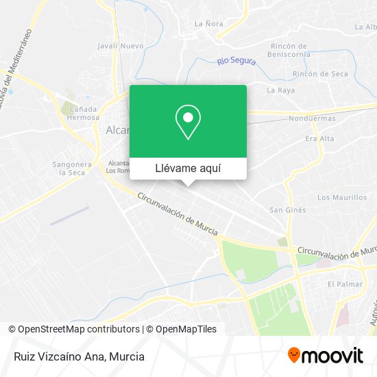Mapa Ruiz Vizcaíno Ana