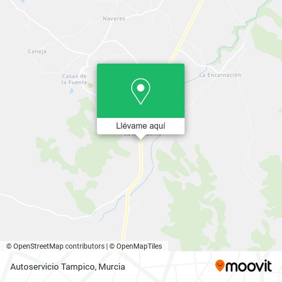 Mapa Autoservicio Tampico