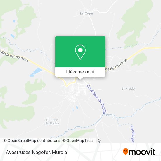 Mapa Avestruces Nagofer