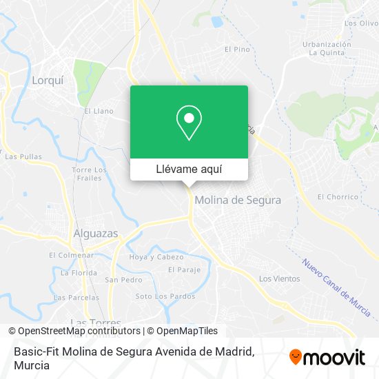 Mapa Basic-Fit Molina de Segura Avenida de Madrid