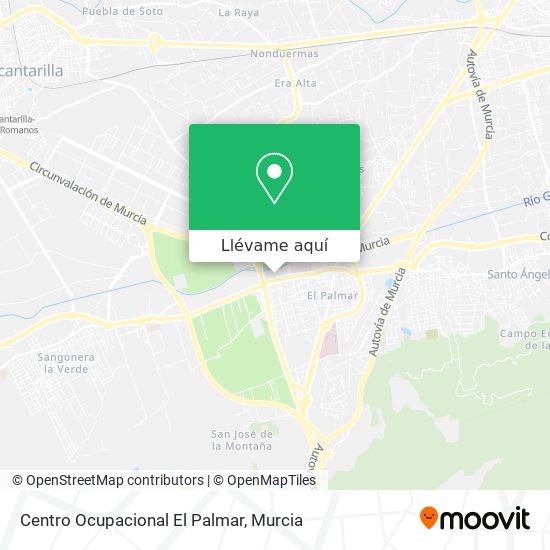 Mapa Centro Ocupacional El Palmar