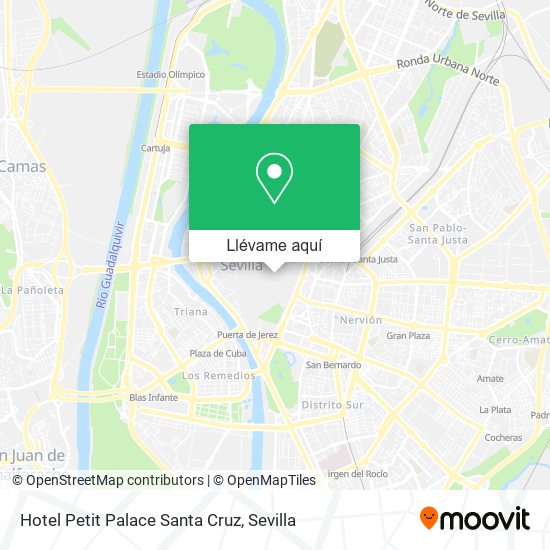 Mapa Hotel Petit Palace Santa Cruz