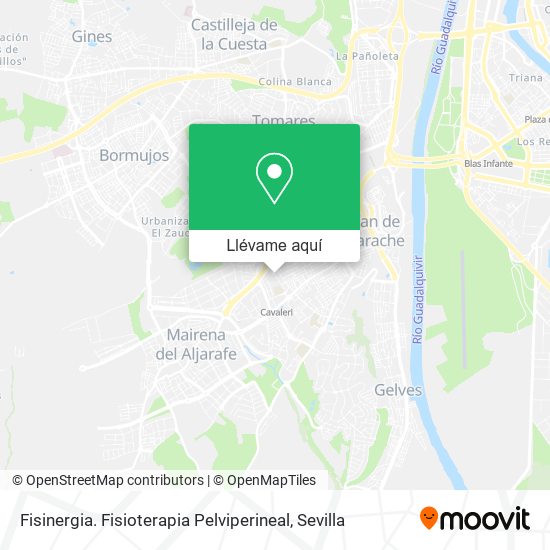 Mapa Fisinergia. Fisioterapia Pelviperineal