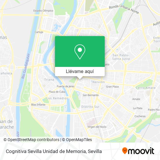 Mapa Cognitiva Sevilla Unidad de Memoria