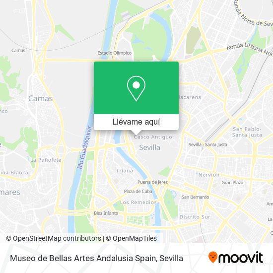 Mapa Museo de Bellas Artes Andalusia Spain