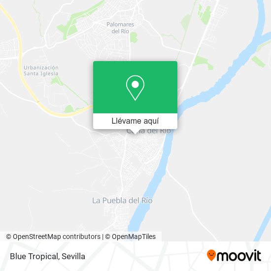 Mapa Blue Tropical