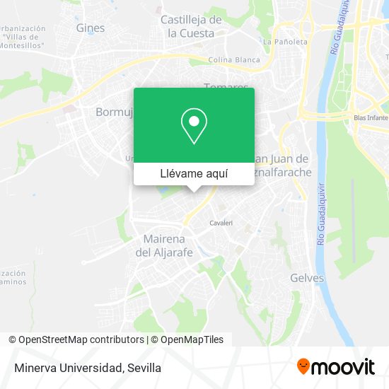 Mapa Minerva Universidad