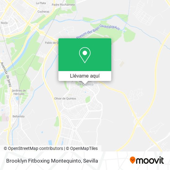 Mapa Brooklyn Fitboxing Montequinto