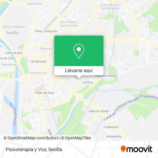Mapa Psicoterapia y Voz