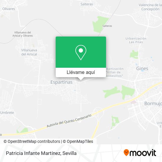 Mapa Patricia Infante Martínez