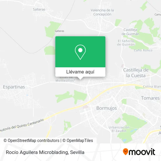 Mapa Rocío Aguilera Microblading