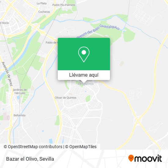Mapa Bazar el Olivo