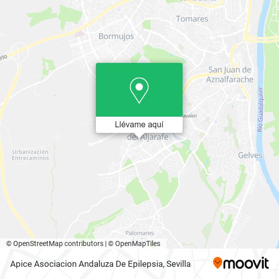 Mapa Apice Asociacion Andaluza De Epilepsia