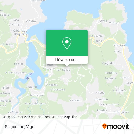 Mapa Salgueiros