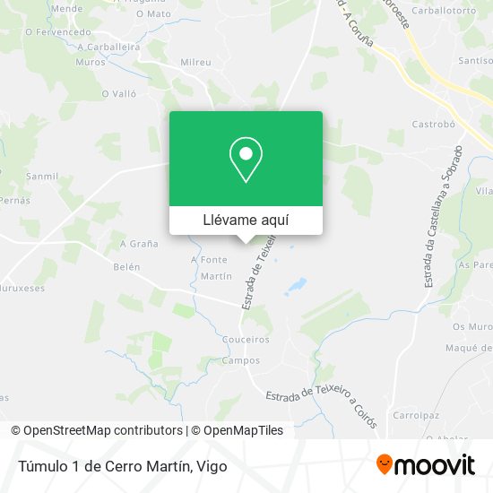 Mapa Túmulo 1 de Cerro Martín