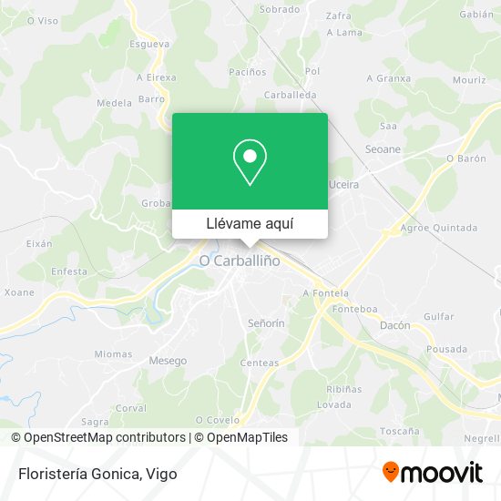 Mapa Floristería Gonica