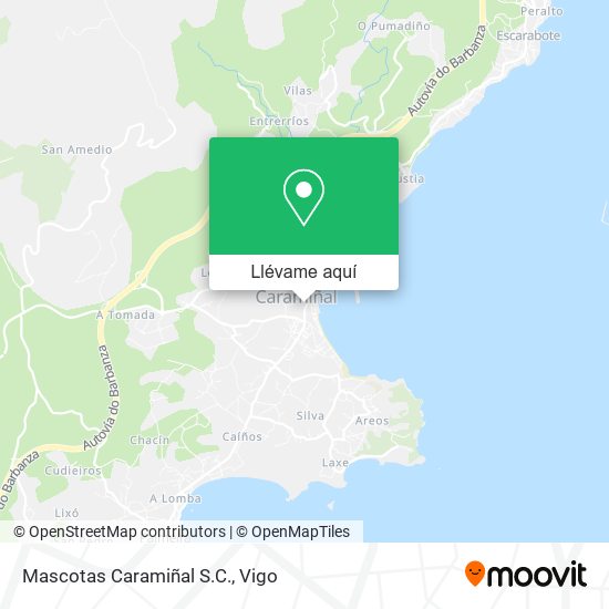 Mapa Mascotas Caramiñal S.C.