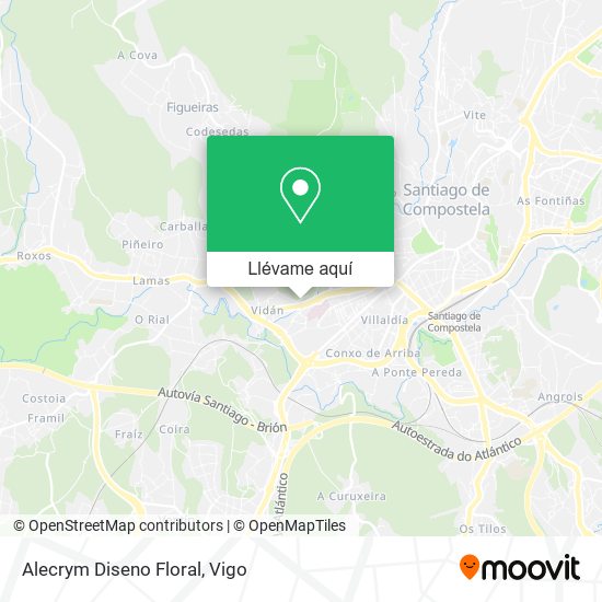 Mapa Alecrym Diseno Floral