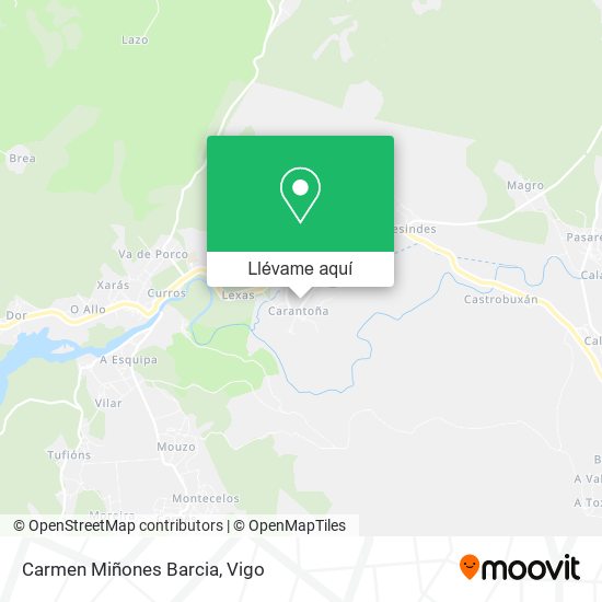 Mapa Carmen Miñones Barcia