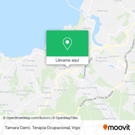 Mapa Tamara Carro. Terapia Ocupacional