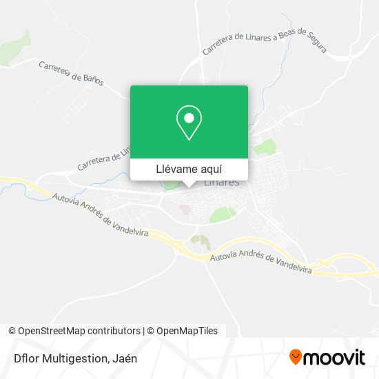 Mapa Dflor Multigestion