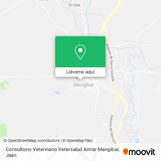 Mapa Consultorio Veterinario Vetersalud Aimar Mengibar