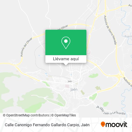 Mapa Calle Canonigo Fernando Gallardo Carpio