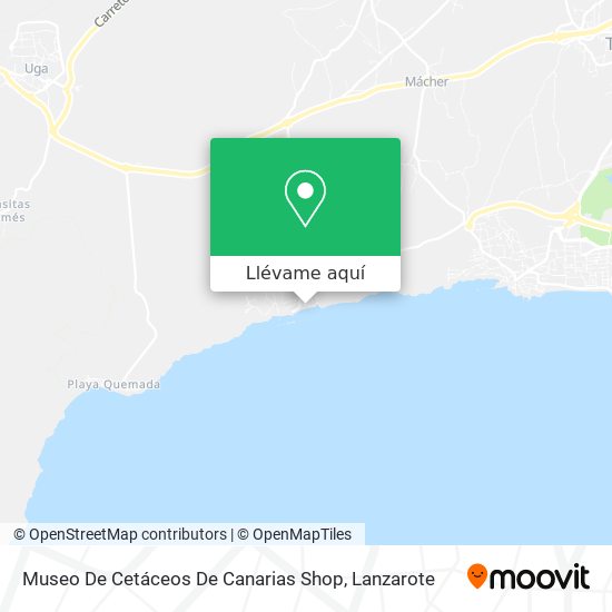 Mapa Museo De Cetáceos De Canarias Shop