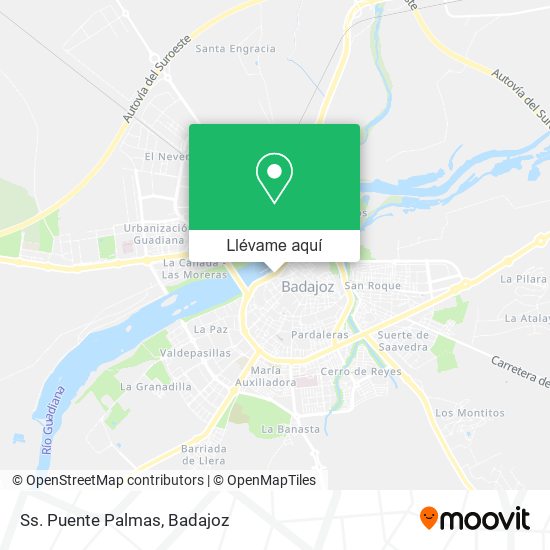 Mapa Ss. Puente Palmas