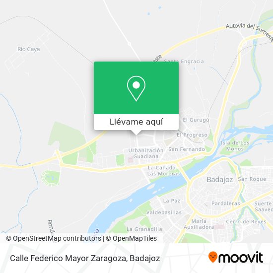 Mapa Calle Federico Mayor Zaragoza