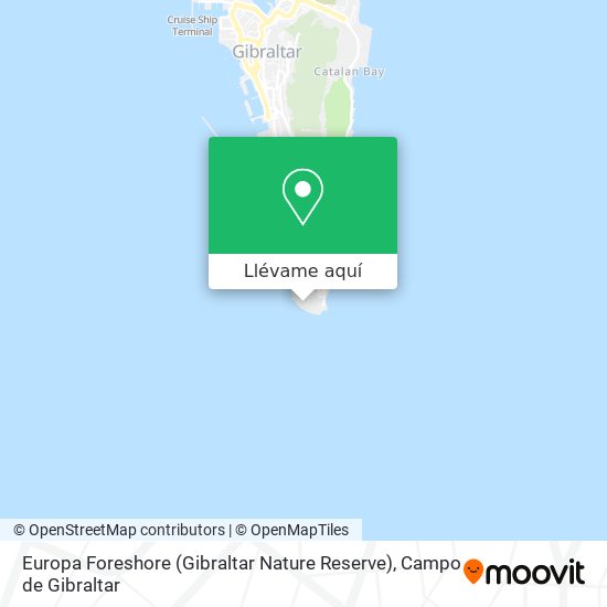 Mapa Europa Foreshore (Gibraltar Nature Reserve)