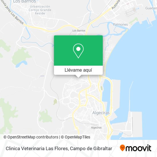 Mapa Clinica Veterinaria Las Flores