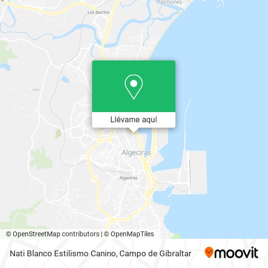 Mapa Nati Blanco Estilismo Canino