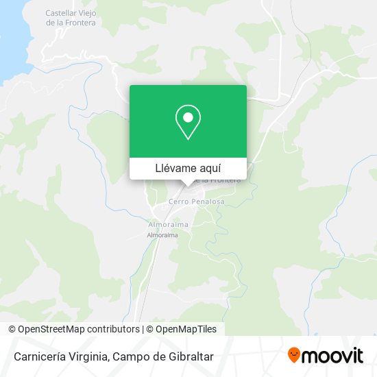 Mapa Carnicería Virginia