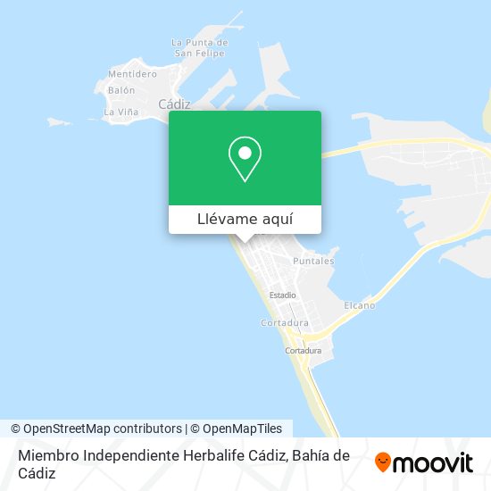 Mapa Miembro Independiente Herbalife Cádiz