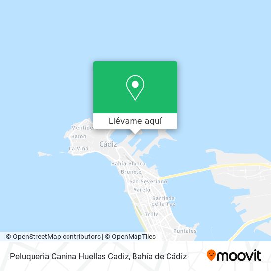Mapa Peluqueria Canina Huellas Cadiz