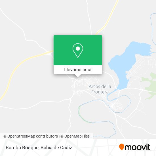Mapa Bambú Bosque