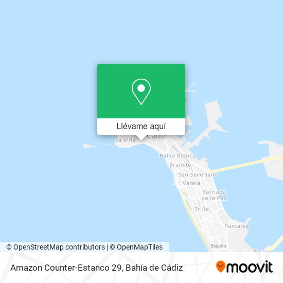 Mapa Amazon Counter-Estanco 29