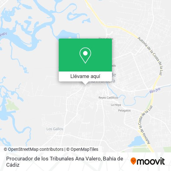 Mapa Procurador de los Tribunales Ana Valero