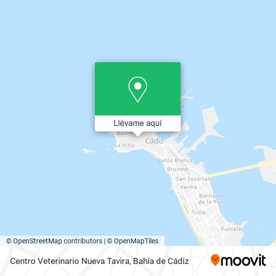 Mapa Centro Veterinario Nueva Tavira