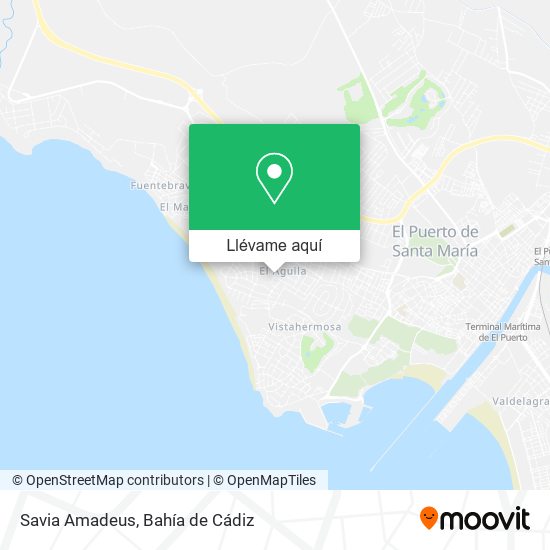 Mapa Savia Amadeus