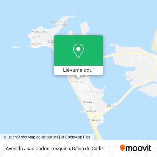 Mapa Avenida Juan Carlos I esquina