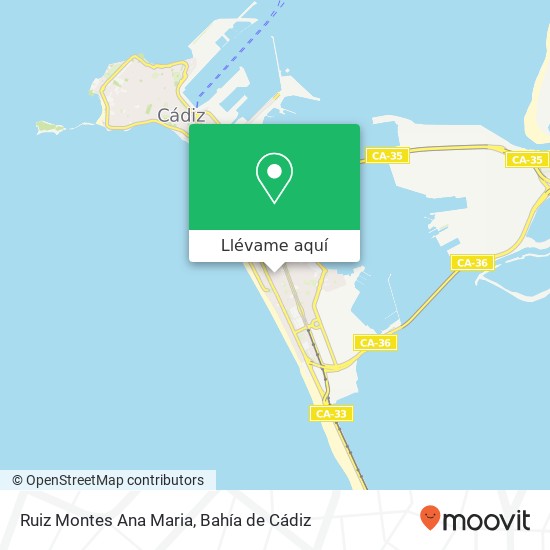 Mapa Ruiz Montes Ana Maria, Calle Pintor Zuloaga, 5 11010 Puerta Tierra Cádiz