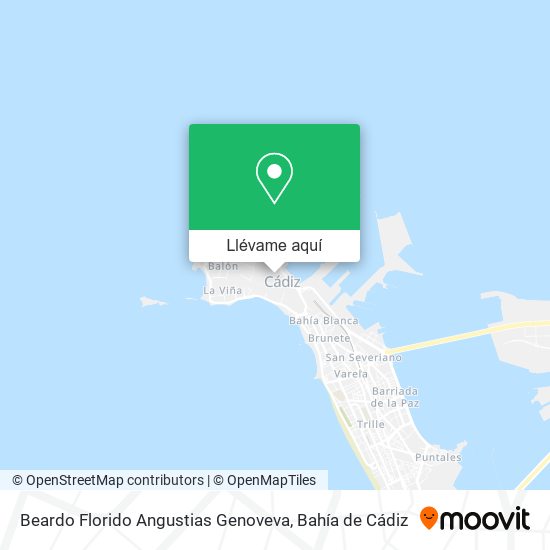 Mapa Beardo Florido Angustias Genoveva