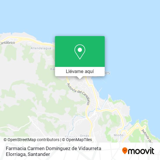 Mapa Farmacia Carmen Domínguez de Vidaurreta Elorriaga