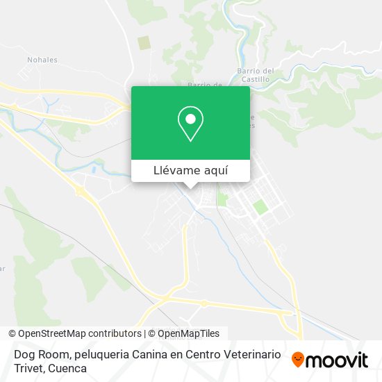 Mapa Dog Room, peluqueria Canina en Centro Veterinario Trivet