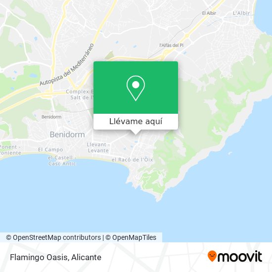 Mapa Flamingo Oasis